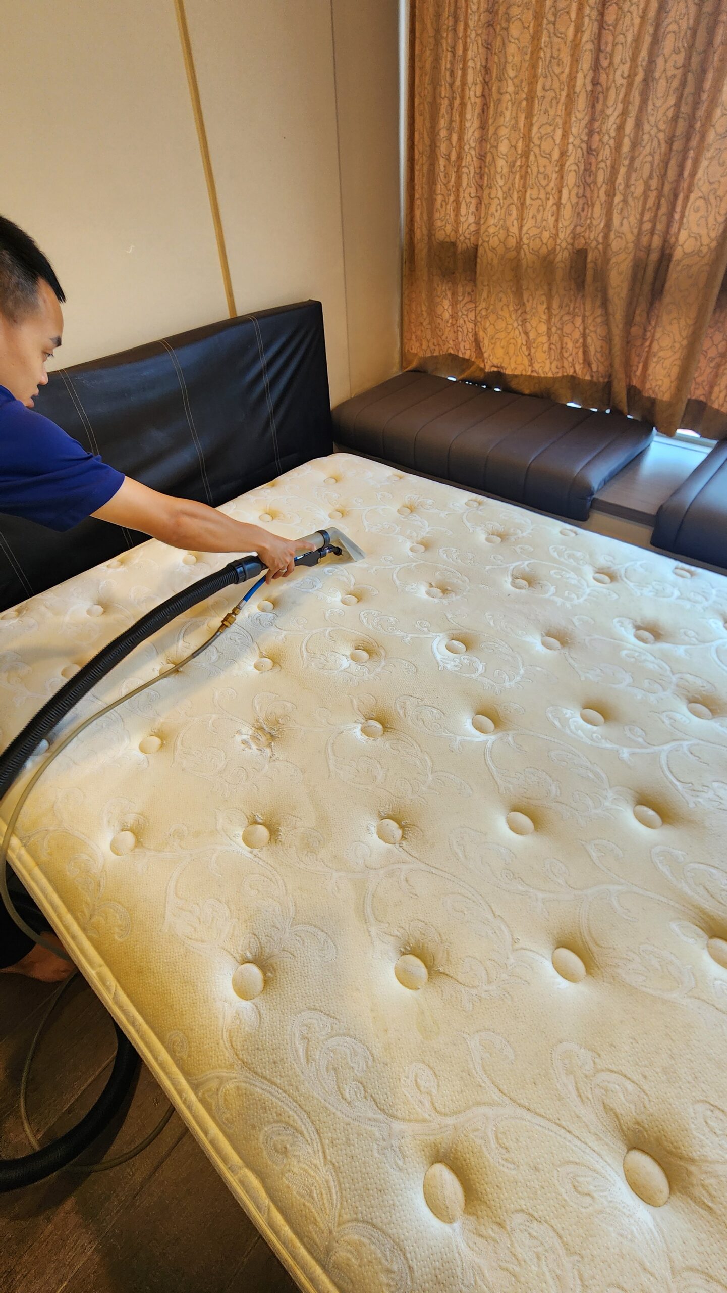 Bed shampoo Extraction