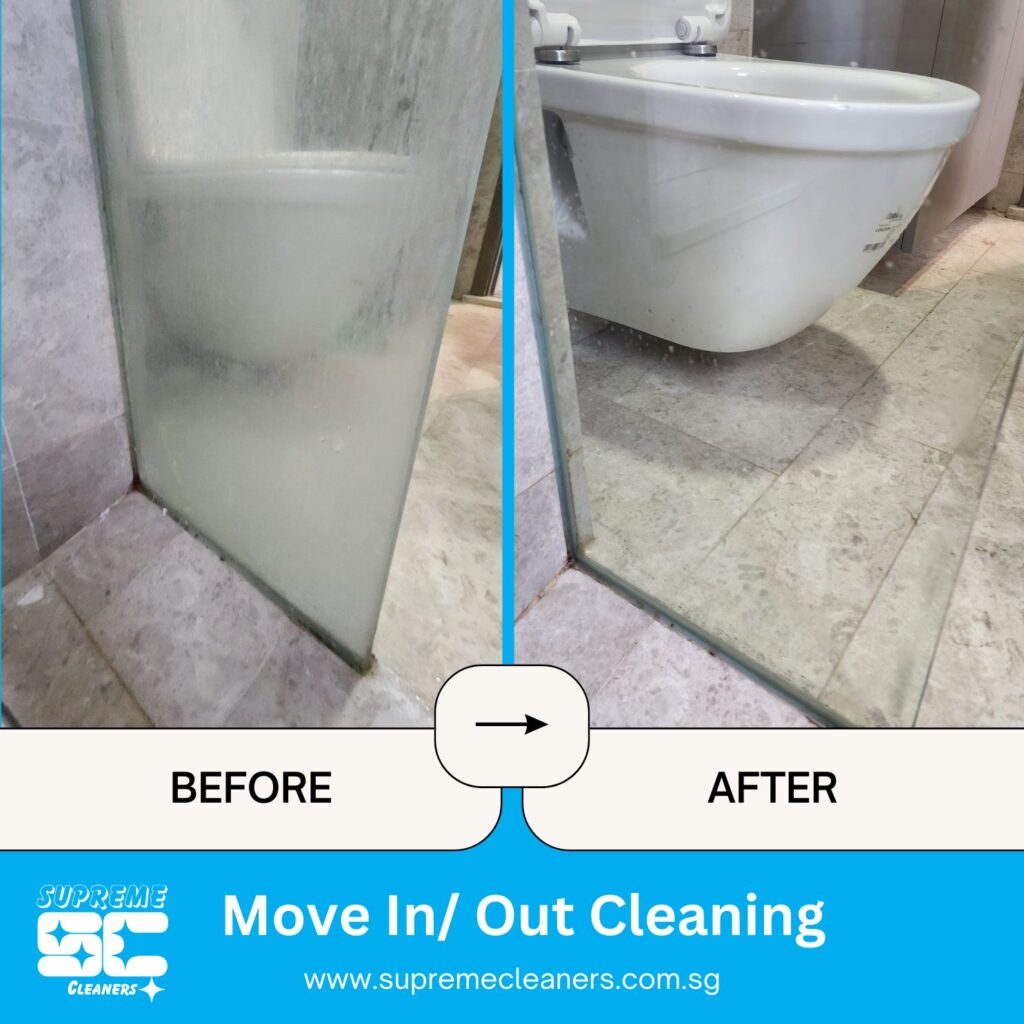Toilet Showing Screen clean