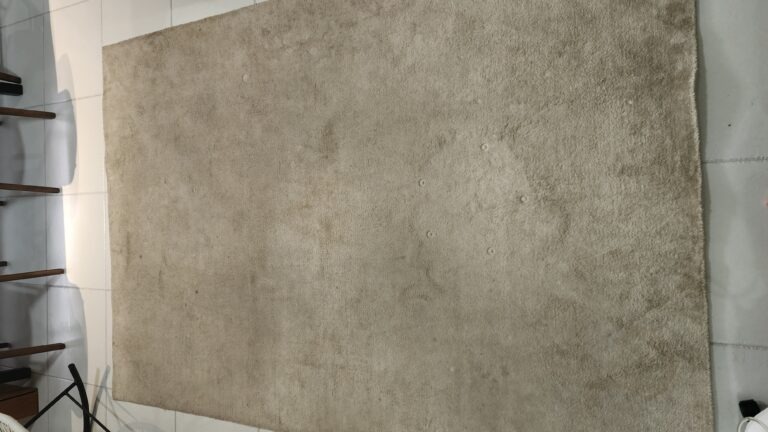 Before Carpet Cleaning